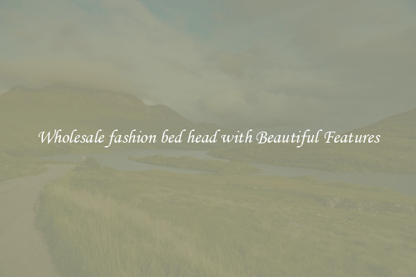 Wholesale fashion bed head with Beautiful Features