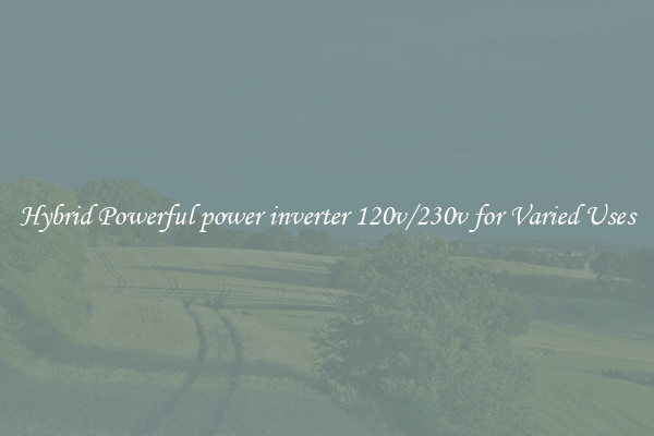 Hybrid Powerful power inverter 120v/230v for Varied Uses