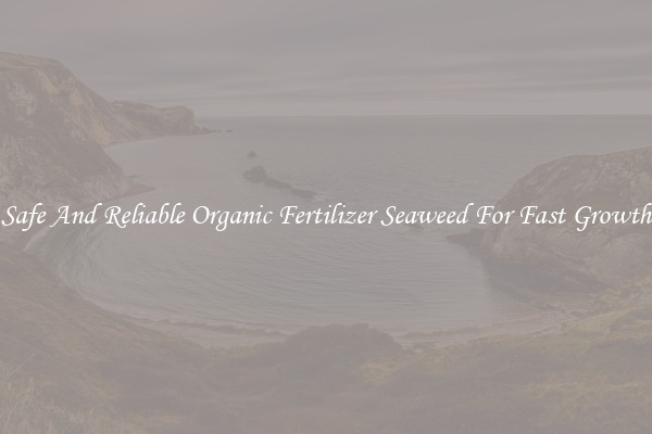 Safe And Reliable Organic Fertilizer Seaweed For Fast Growth
