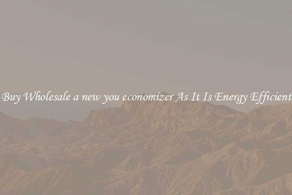 Buy Wholesale a new you economizer As It Is Energy Efficient