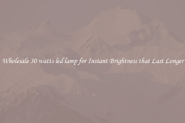 Wholesale 30 watts led lamp for Instant Brightness that Last Longer