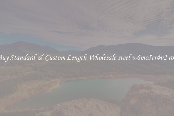 Buy Standard & Custom Length Wholesale steel w6mo5cr4v2 rod