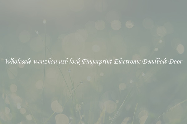 Wholesale wenzhou usb lock Fingerprint Electronic Deadbolt Door 