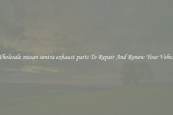 Wholesale nissan sentra exhaust parts To Repair And Renew Your Vehicle
