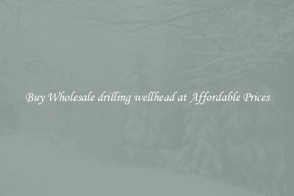 Buy Wholesale drilling wellhead at Affordable Prices