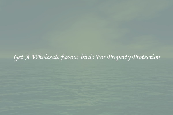Get A Wholesale favour birds For Property Protection