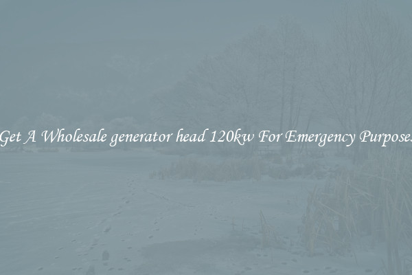 Get A Wholesale generator head 120kw For Emergency Purposes