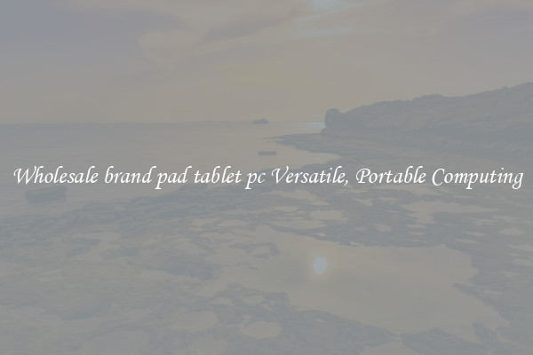 Wholesale brand pad tablet pc Versatile, Portable Computing