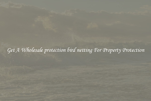 Get A Wholesale protection bird netting For Property Protection