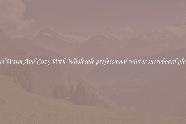 Feel Warm And Cozy With Wholesale professional winter snowboard gloves