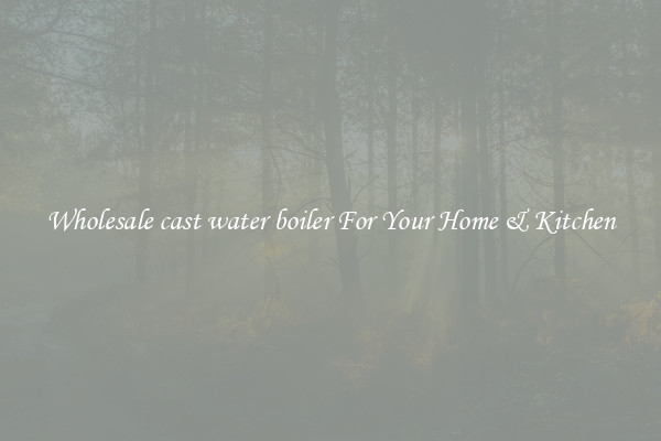 Wholesale cast water boiler For Your Home & Kitchen