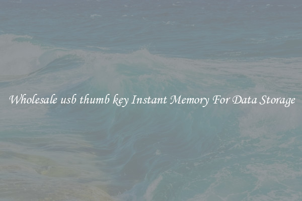 Wholesale usb thumb key Instant Memory For Data Storage