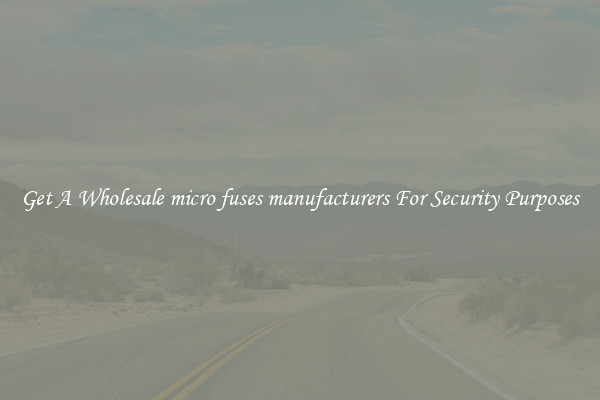 Get A Wholesale micro fuses manufacturers For Security Purposes