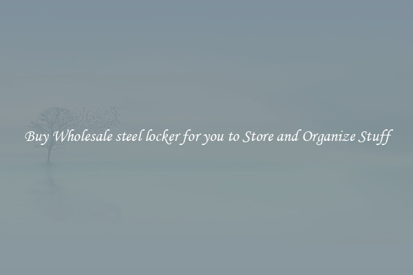 Buy Wholesale steel locker for you to Store and Organize Stuff