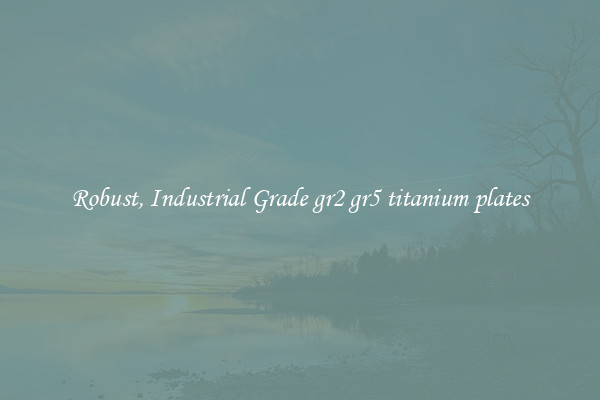 Robust, Industrial Grade gr2 gr5 titanium plates