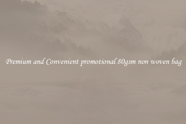 Premium and Convenient promotional 80gsm non woven bag