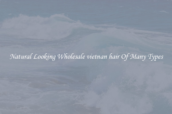 Natural Looking Wholesale vietnan hair Of Many Types