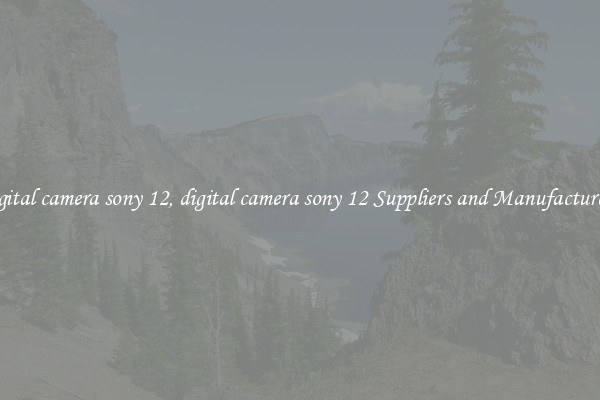 digital camera sony 12, digital camera sony 12 Suppliers and Manufacturers