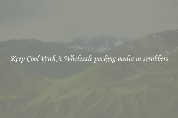 Keep Cool With A Wholesale packing media in scrubbers