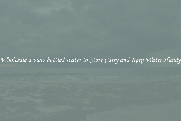 Wholesale a view bottled water to Store Carry and Keep Water Handy