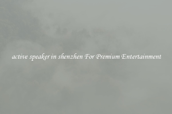 active speaker in shenzhen For Premium Entertainment