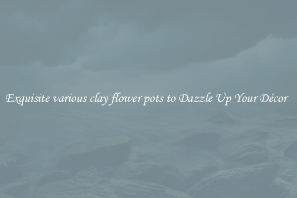 Exquisite various clay flower pots to Dazzle Up Your Décor  