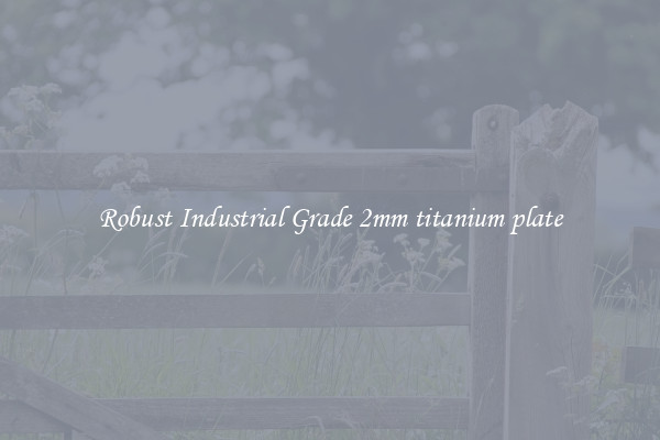 Robust Industrial Grade 2mm titanium plate