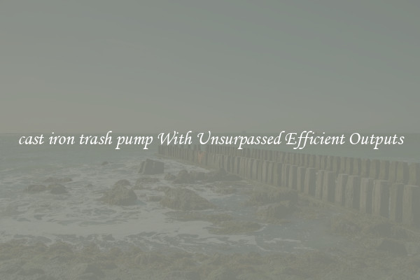 cast iron trash pump With Unsurpassed Efficient Outputs