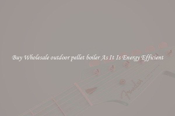 Buy Wholesale outdoor pellet boiler As It Is Energy Efficient