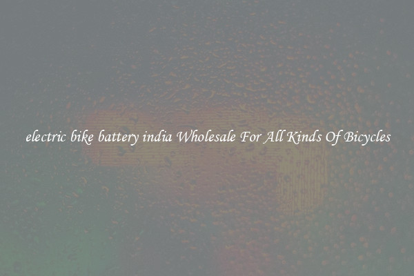 electric bike battery india Wholesale For All Kinds Of Bicycles