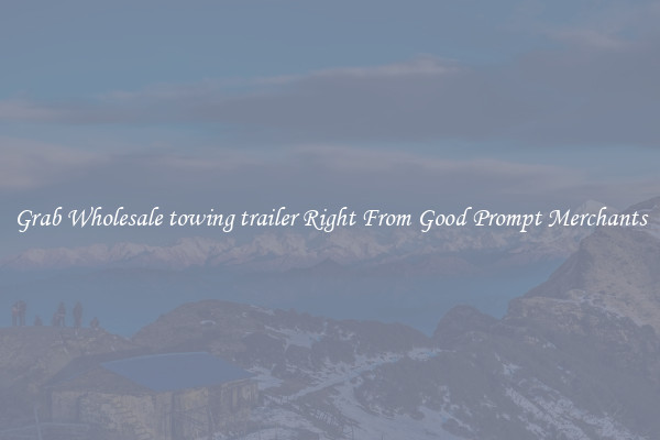 Grab Wholesale towing trailer Right From Good Prompt Merchants