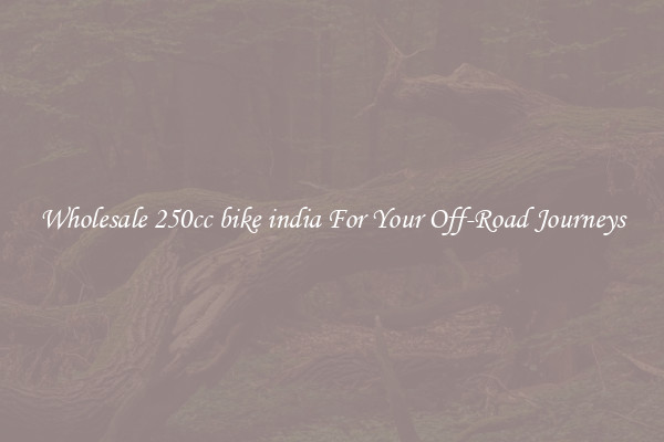 Wholesale 250cc bike india For Your Off-Road Journeys